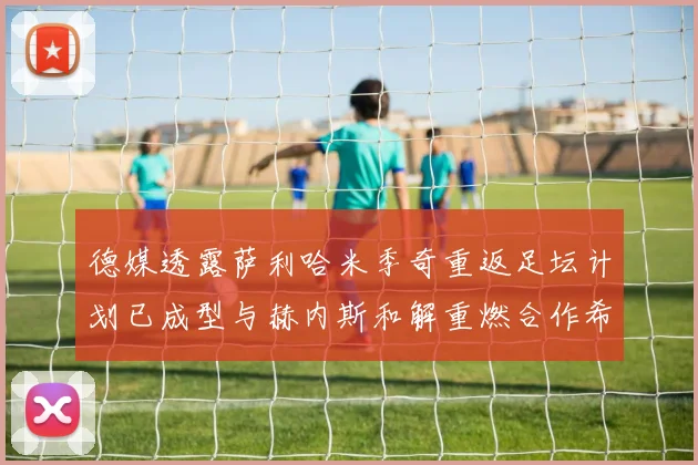 德媒透露萨利哈米季奇重返足坛计划已成型与赫内斯和解重燃合作希望