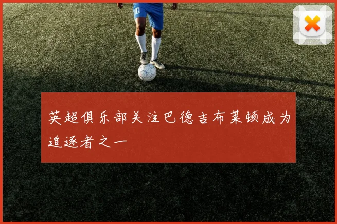 英超俱乐部关注巴德吉布莱顿成为追逐者之一