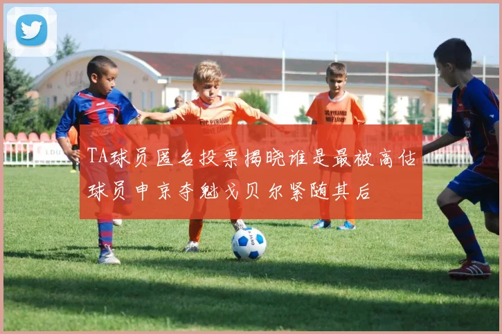 TA球员匿名投票揭晓谁是最被高估球员申京夺魁戈贝尔紧随其后